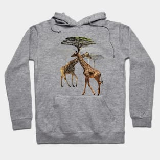 Giraffes with trees in Kenya / Africa Hoodie